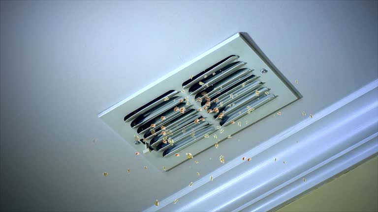 Best Air Duct Cleaning Near Me  in Bridgeport, WA